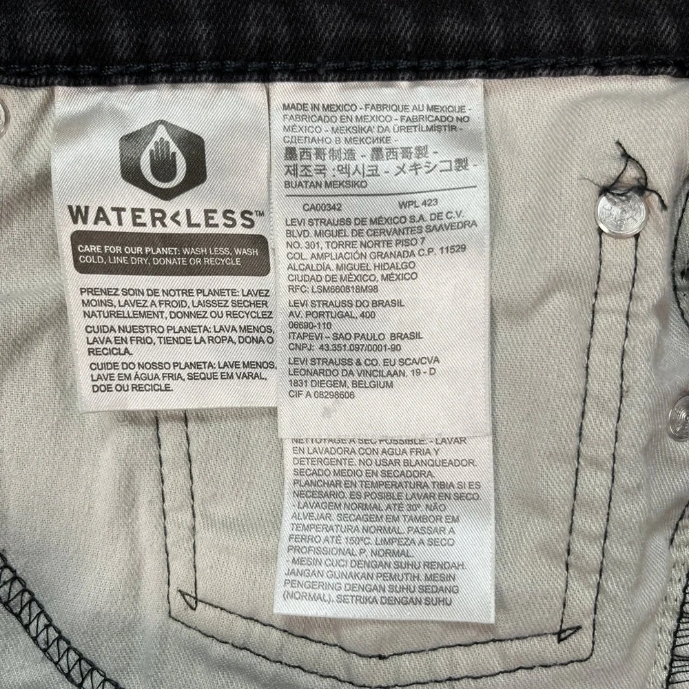 Levis levi 541